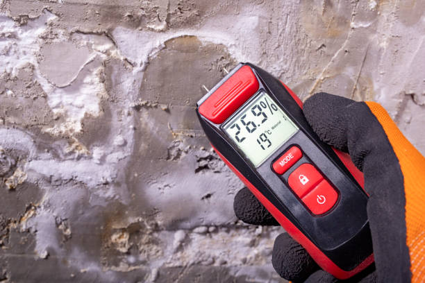 Best Mold Testing  in Portland, IN
